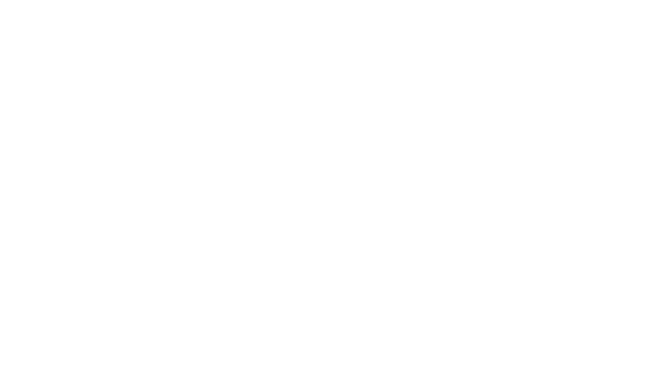 black snails anarchocollective